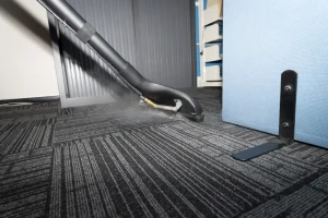 Get Spotless Results with Professional Carpet Cleaning Services